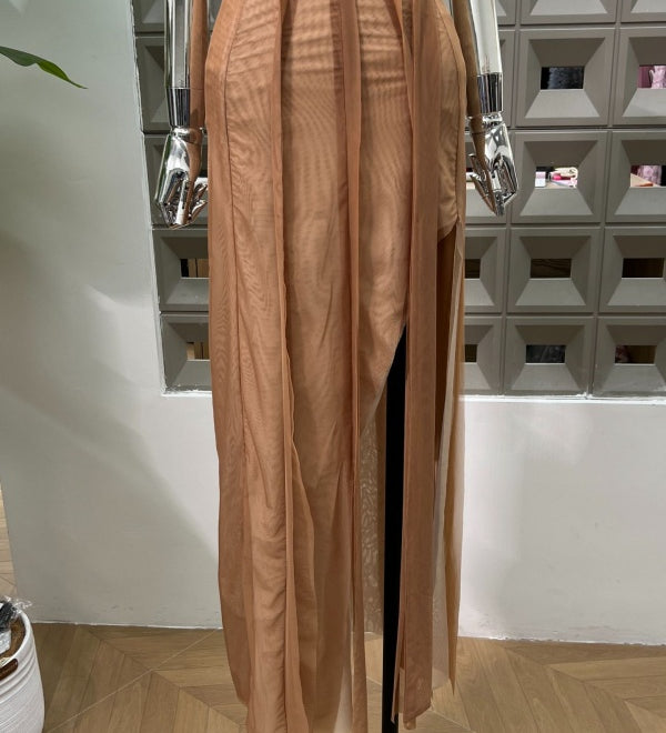 Nude Sheer Gown