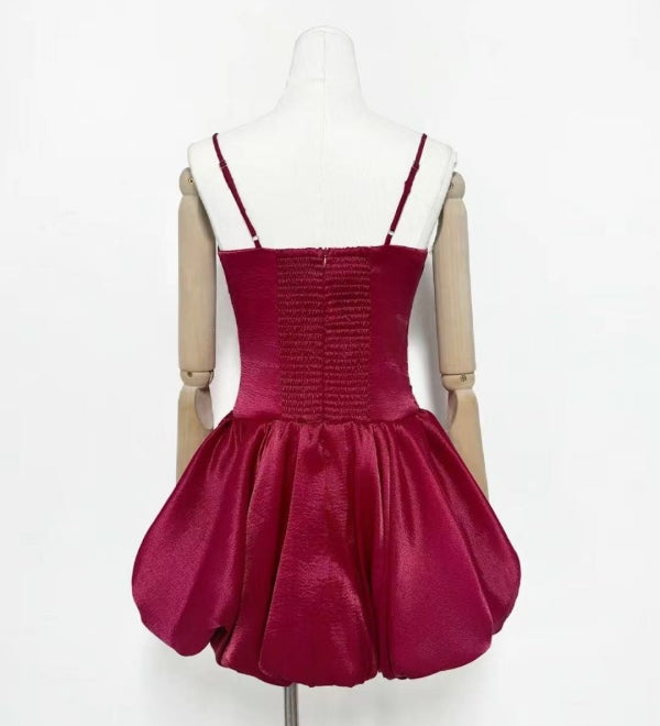Burgundy Rose Mini Dress