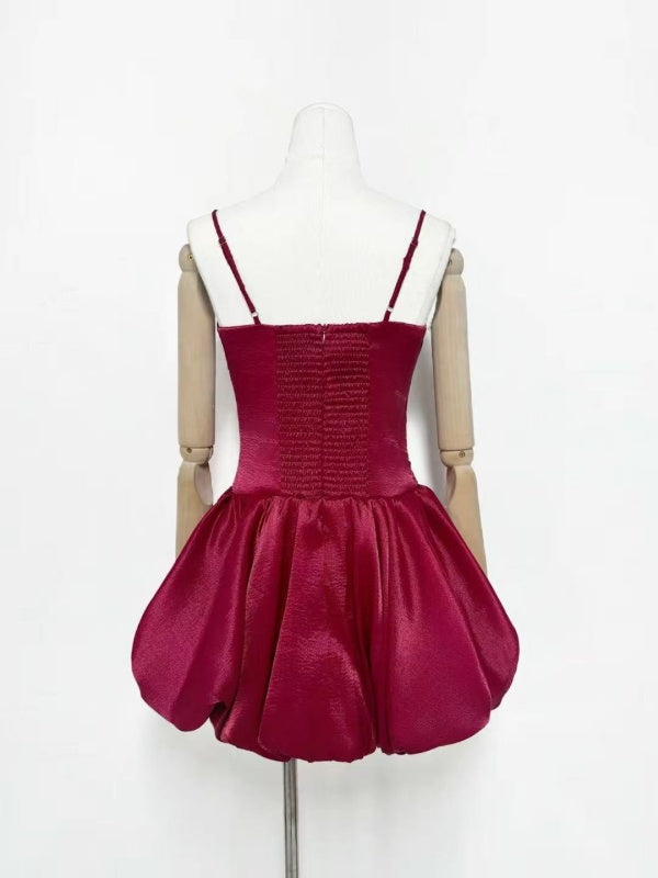 Burgundy Rose Mini Dress