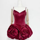 Burgundy Rose Mini Dress