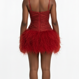 Alura Feather Mini Dress